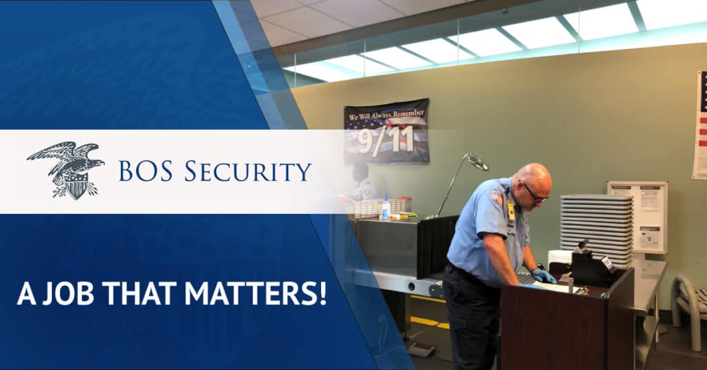 Considering a Job in Security? You May Have More Options than you Think!
