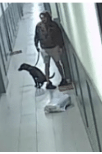 A male stands outside of his apartment door while his dog relieves itself in the hallway. A male stands outside of his apartment door while his dog relieves itself in the hallway.