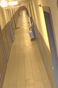 The same male is pictured putting a bag of trash outside of his apartment door which was left there for approximately two days. The same male is pictured putting a bag of trash outside of his apartment door which was left there for approximately two days.