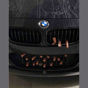 Hot dogs used to vandalize a car in a parking deck