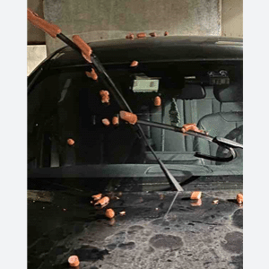 Vandalism to a car in a parking deck with hot dogs